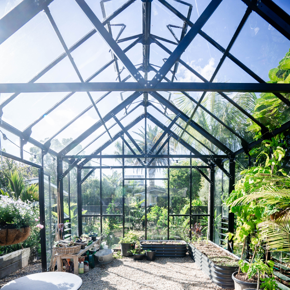 12x16ft (3.8x5.1m) Greenhouse