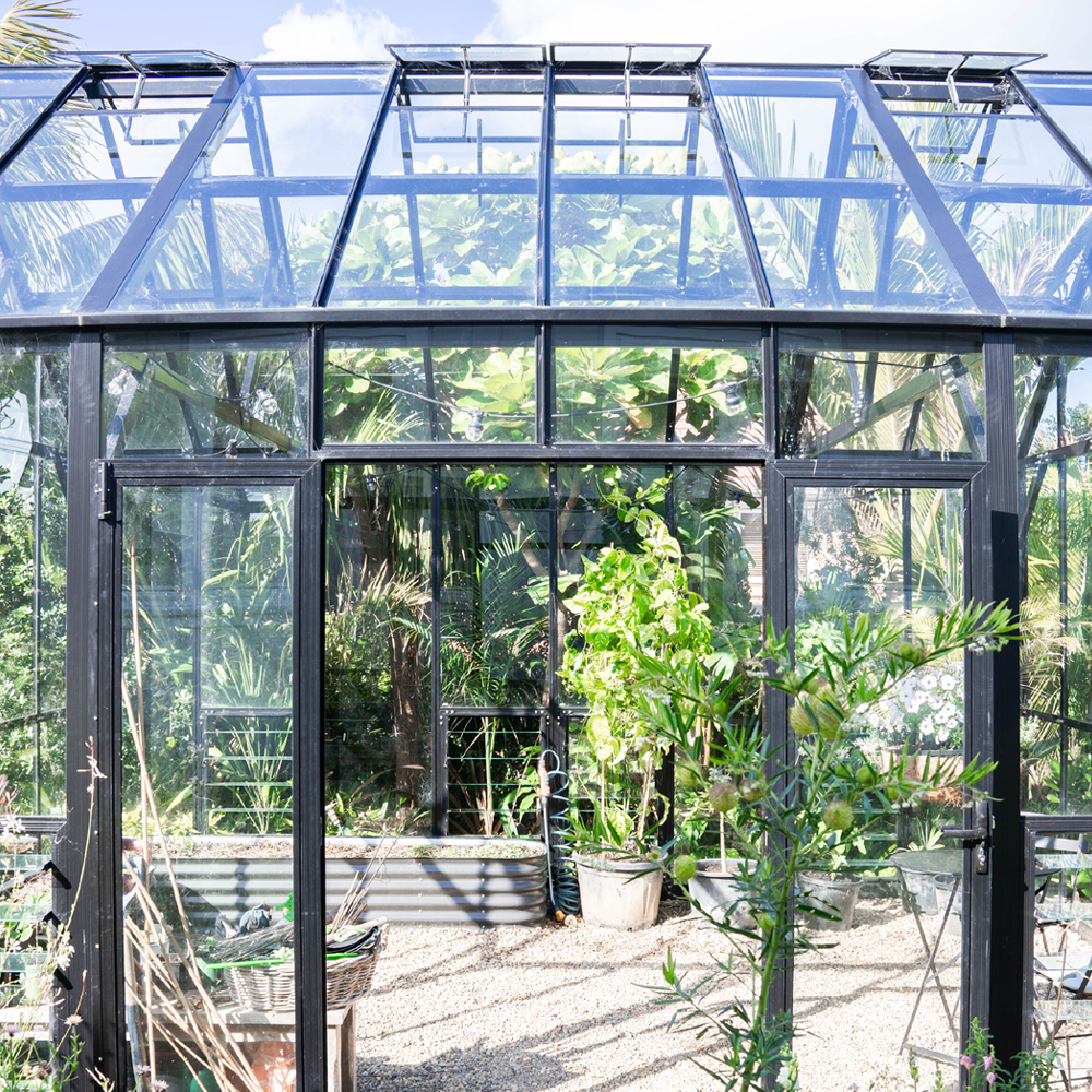 12x16ft (3.8x5.1m) Greenhouse