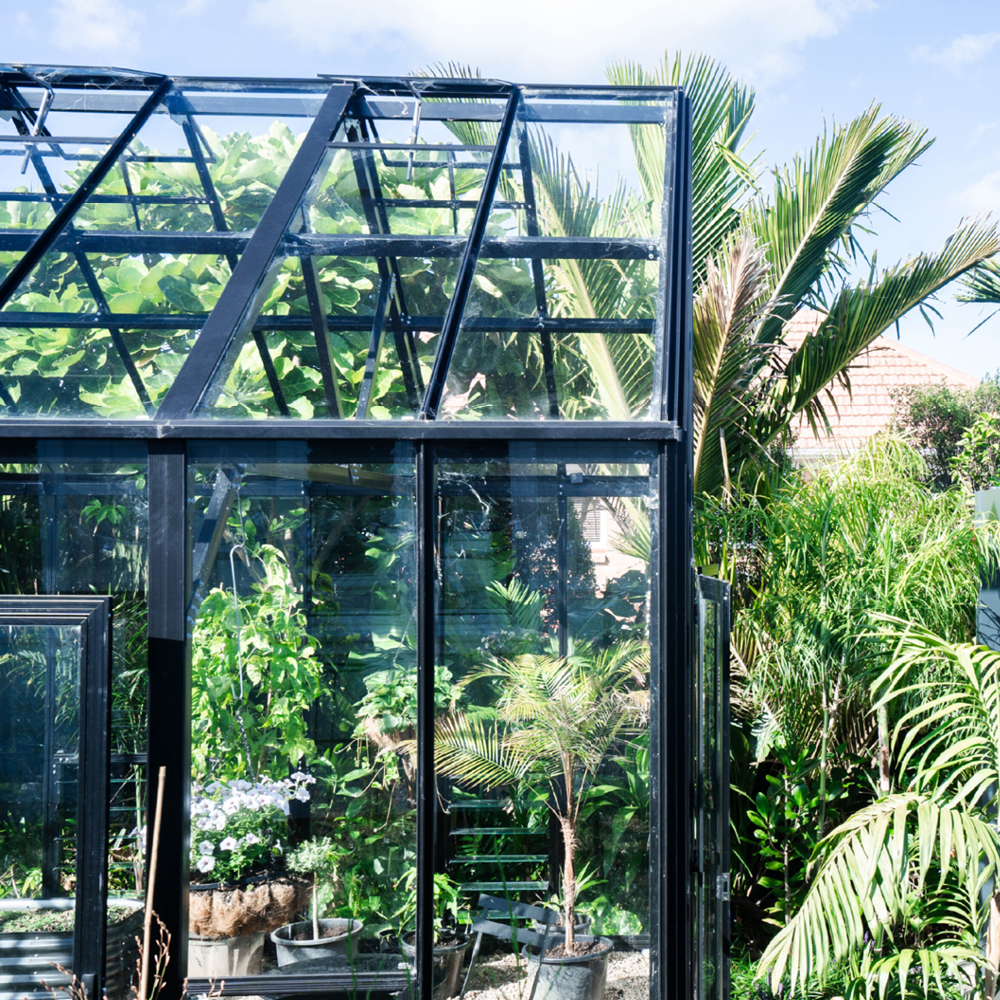 12x16ft (3.8x5.1m) Greenhouse