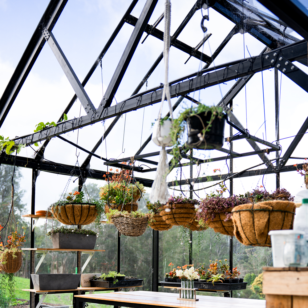 12x24ft (3.8x7.7m) Greenhouse
