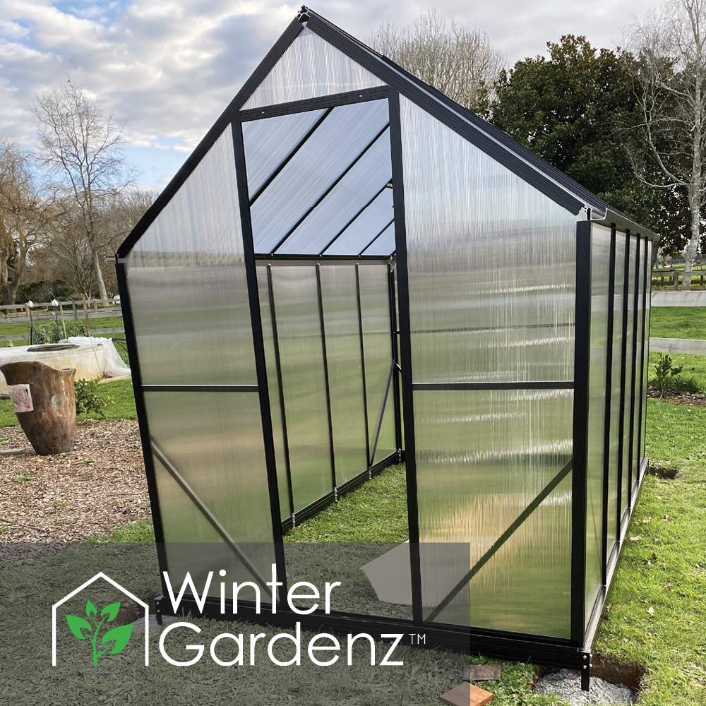 6x10 Greenhouse 6mm Polycarbonate