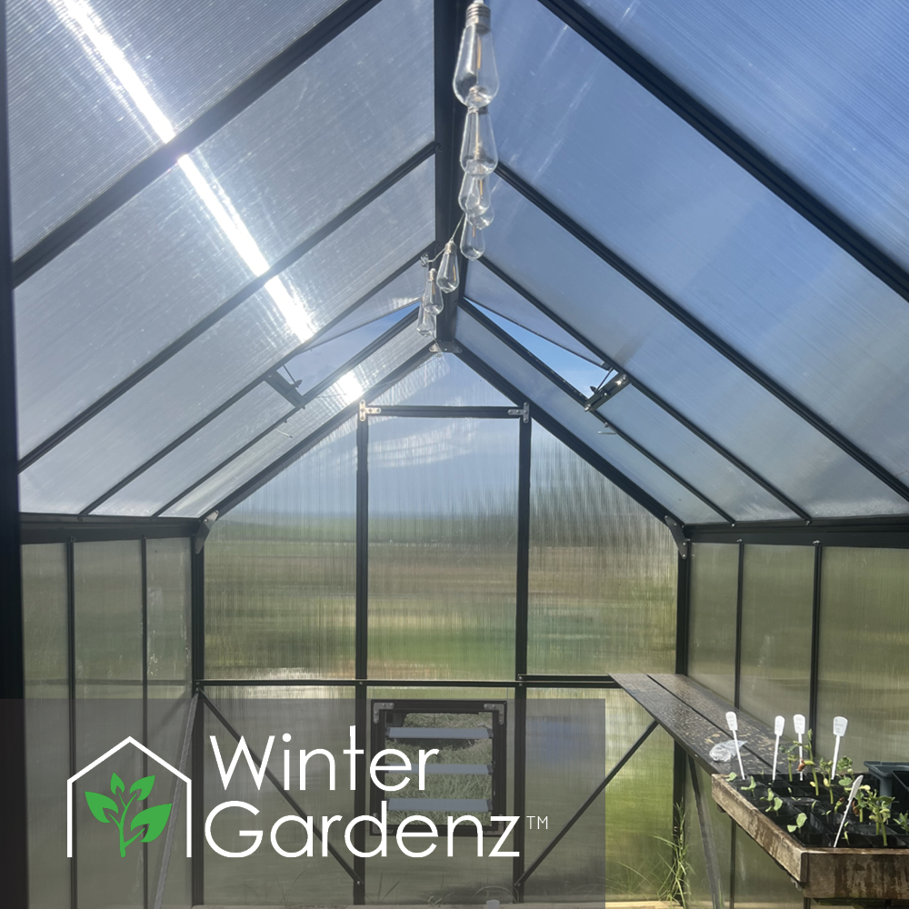 6x10 Greenhouse 6mm Polycarbonate