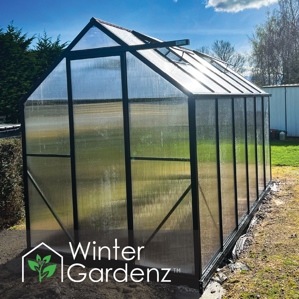 6x10 Greenhouse 6mm Polycarbonate