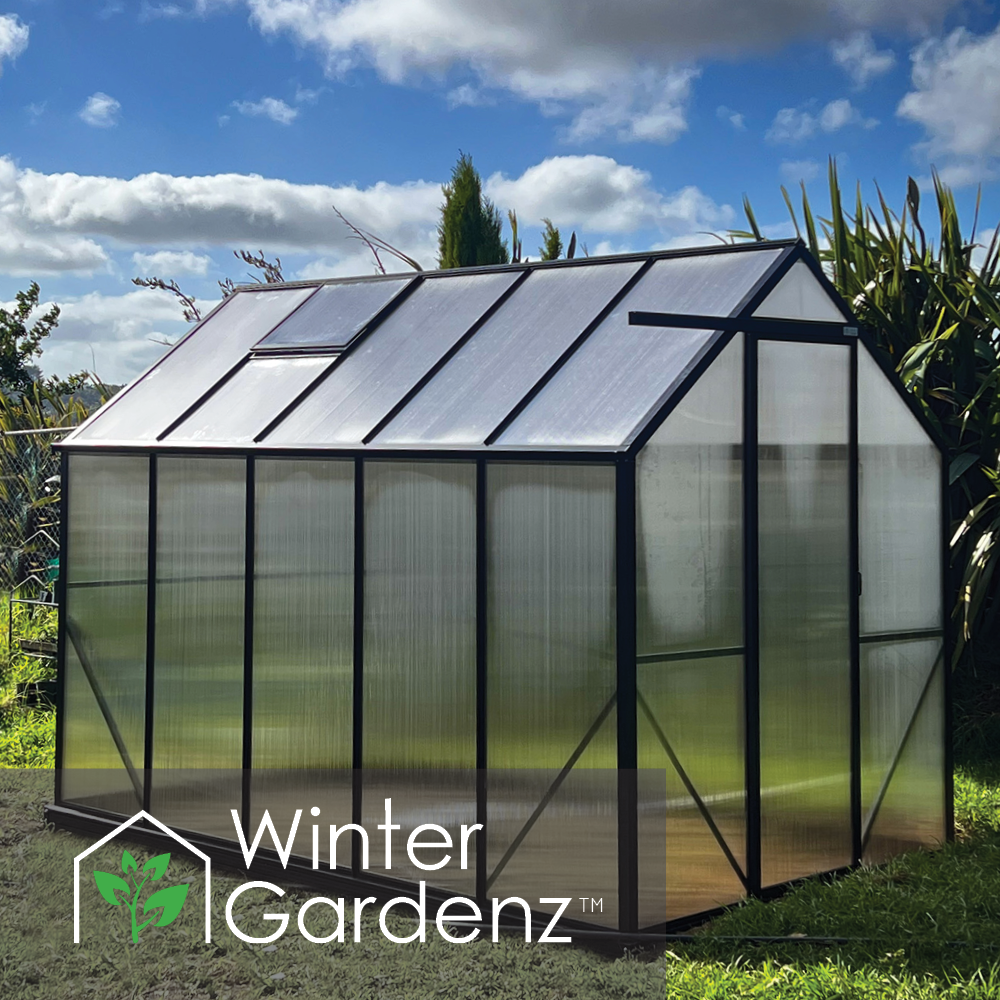 6x10 Greenhouse 6mm Polycarbonate