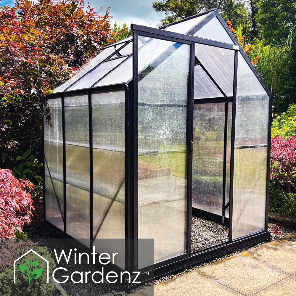 Winter Gardenz 6x6 polycarbonate greenhouse with black frame in a garden setting