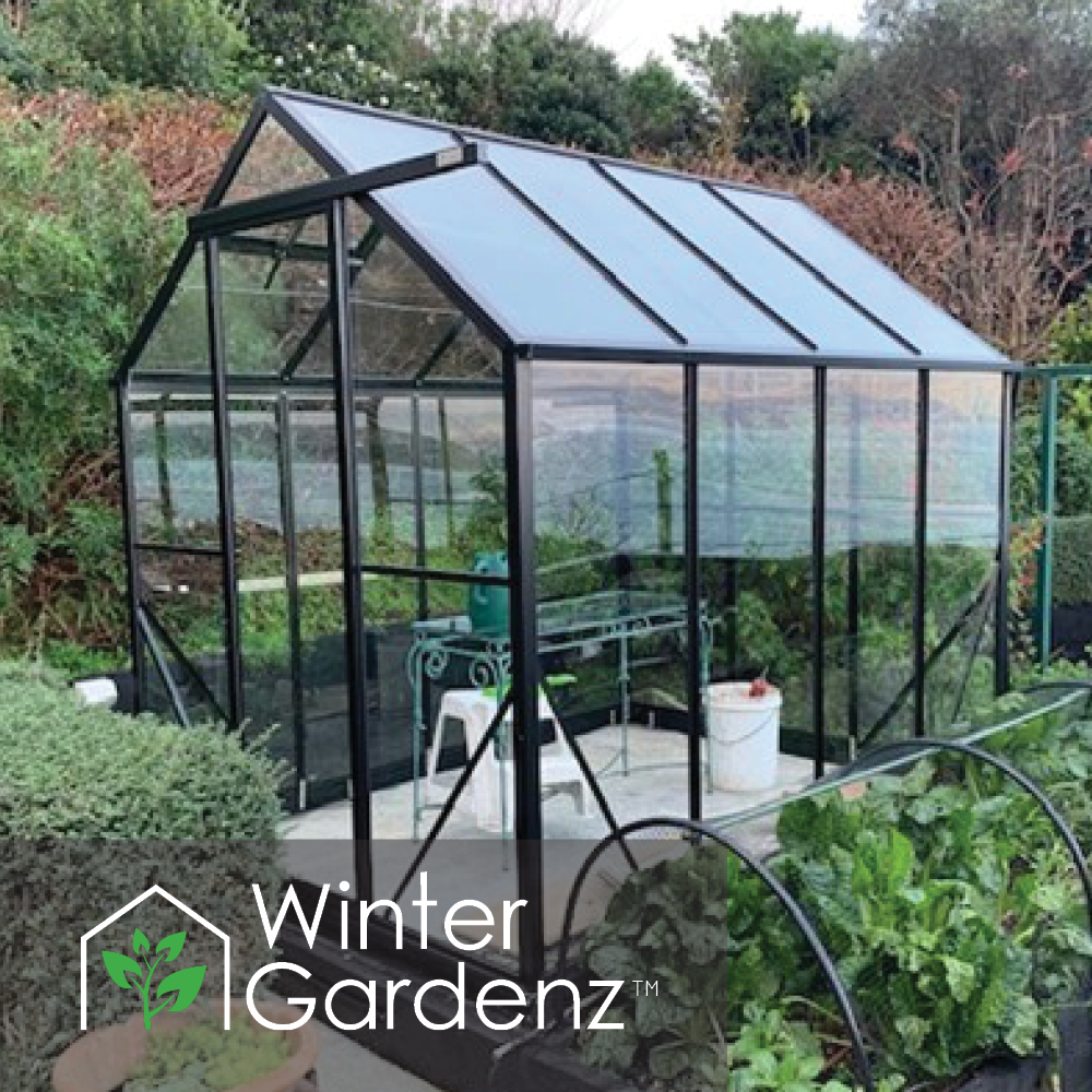 6x8 Glasshouse 4mm Toughened Glass