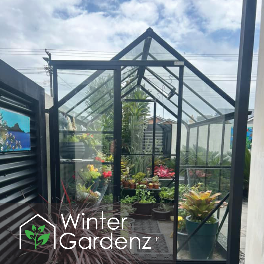 6x8 Glasshouse 4mm Toughened Glass