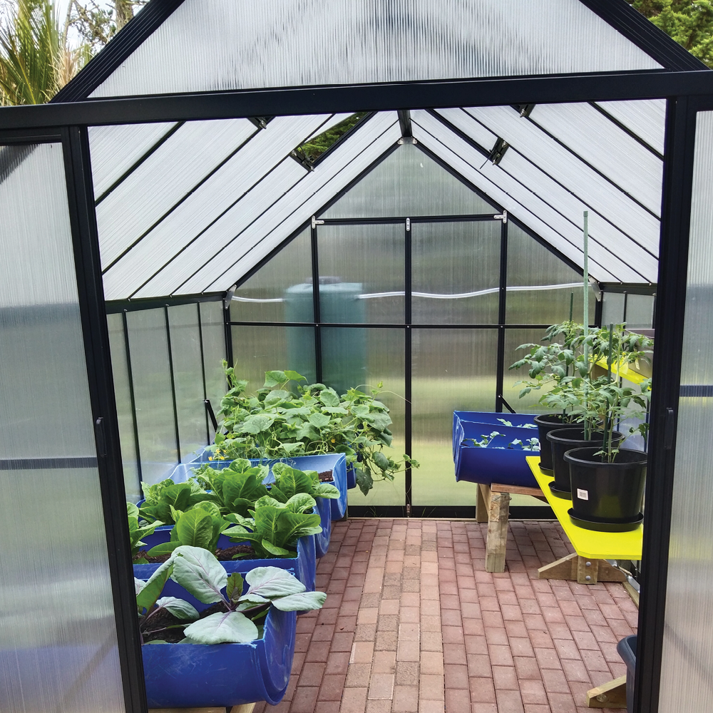 8x12 Greenhouse 6mm Polycarbonate