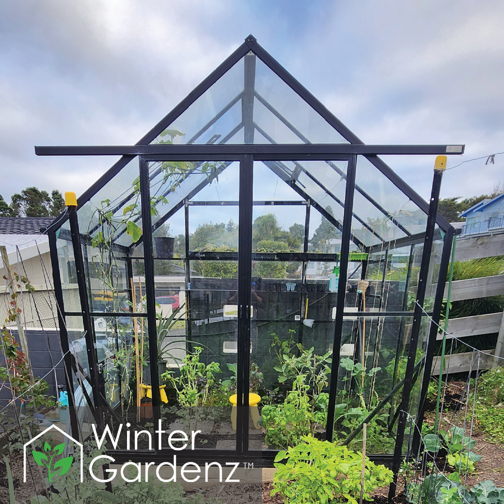 8x6 Glasshouse 4mm Toughened Glass