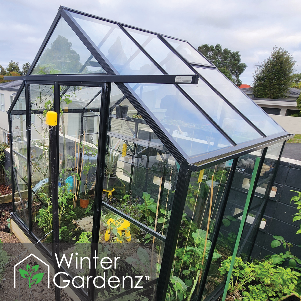 8x6 Glasshouse 4mm Toughened Glass