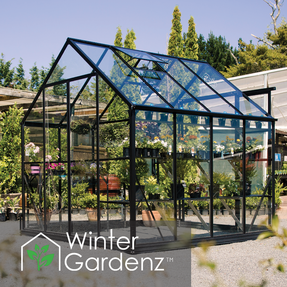 8x8 Glasshouse 4mm Toughened Glass