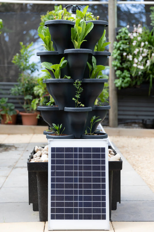 Solar Eco Farm