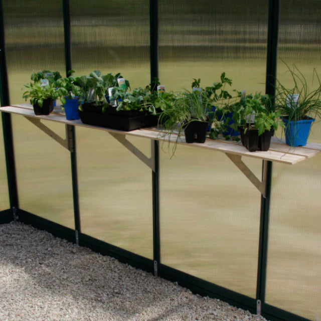 Various potted herb plants and seedlings on a wooden shelf inside a greenhouse with translucent walls
