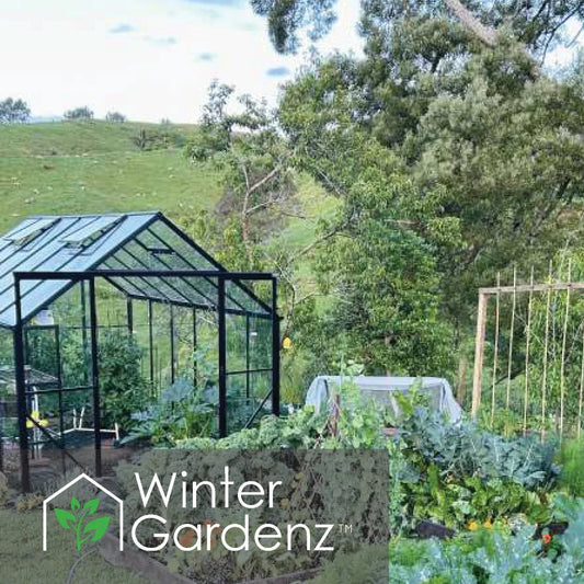 Outdoor glass greenhouse with black frame in a green garden surrounded by plants and trees