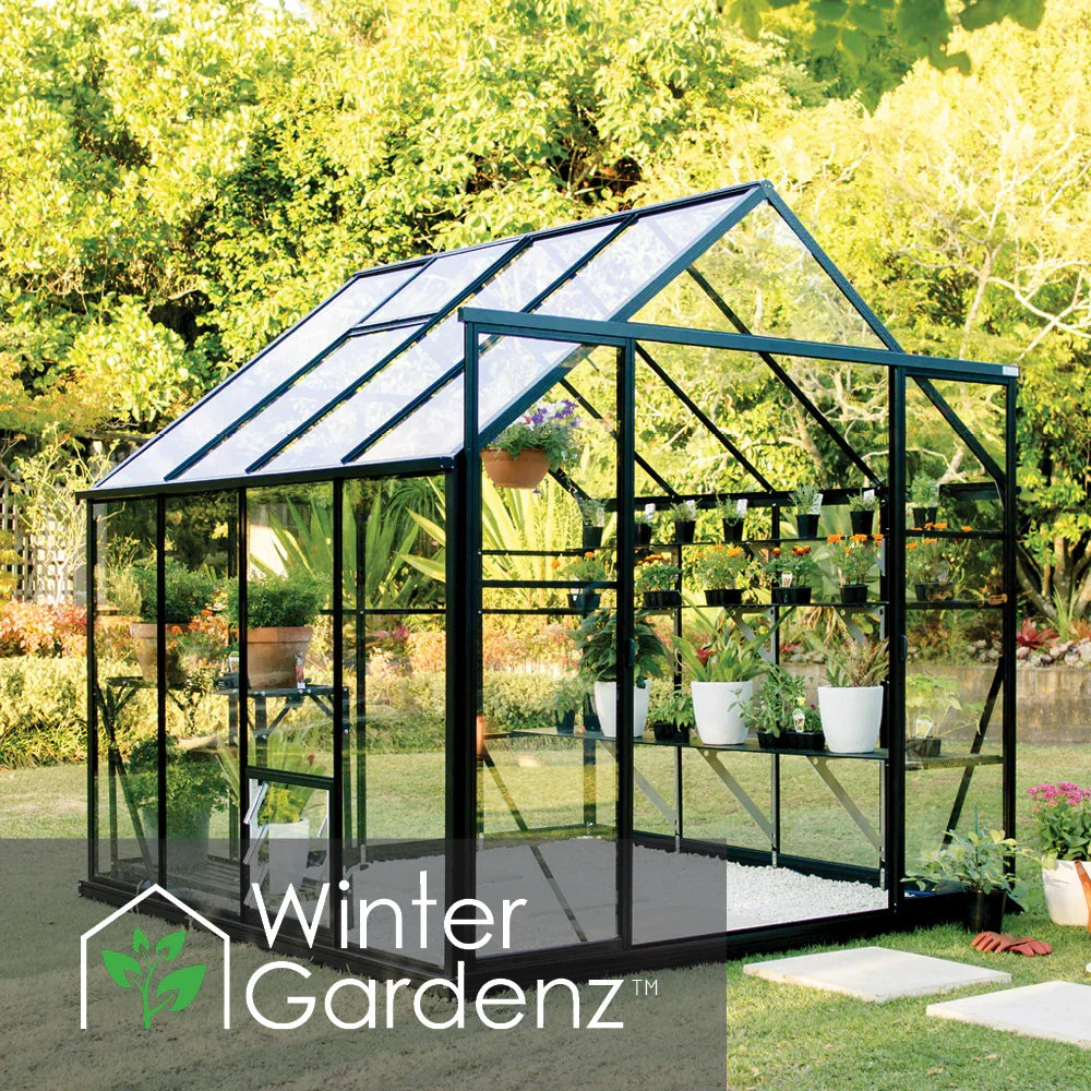 8x8 glass greenhouse with black frame in garden, filled with potted plants and flowers