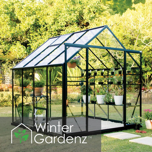 8x8 glass greenhouse with black frame in garden, filled with potted plants and flowers