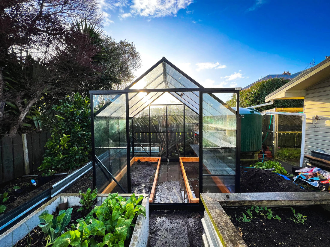 8x8 glass greenhouse with wooden raised beds in a sunny backyard garden
