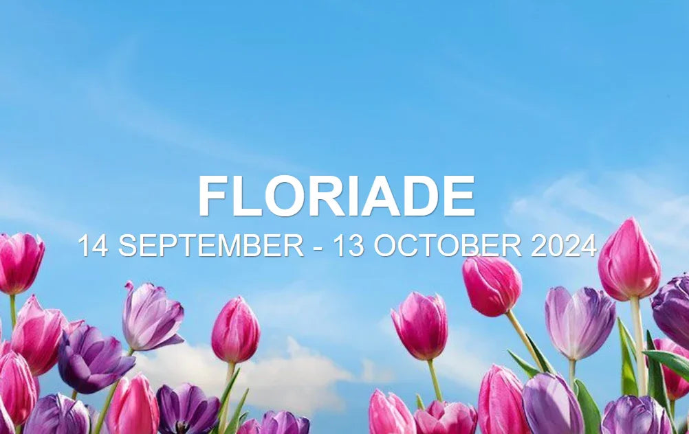 Pink and purple tulips under blue sky with text Floriade event dates September to October 2024