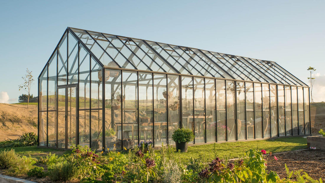 Modern glass greenhouse with metal frame in a sunny garden setting with plants and greenery