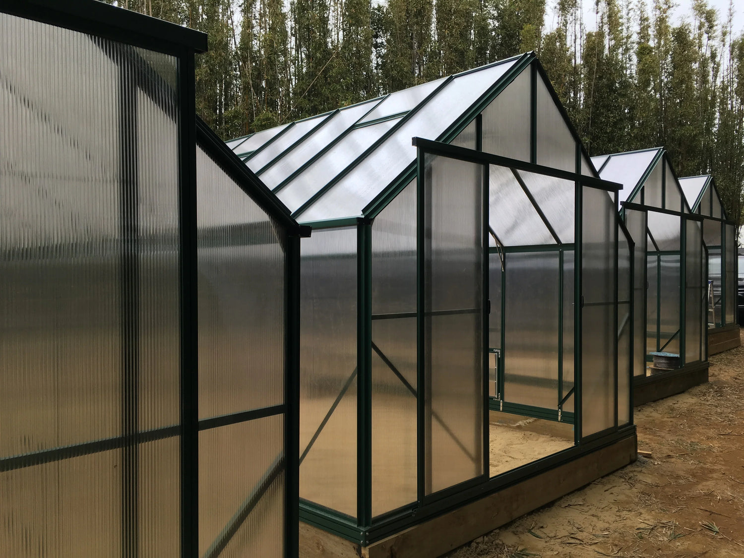 Row of 10ft wide polycarbonate greenhouses with black metal frames and open doors on dirt ground