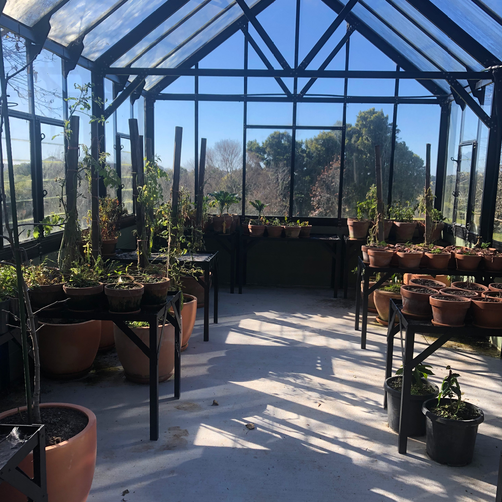 12x20 Elite Glasshouse