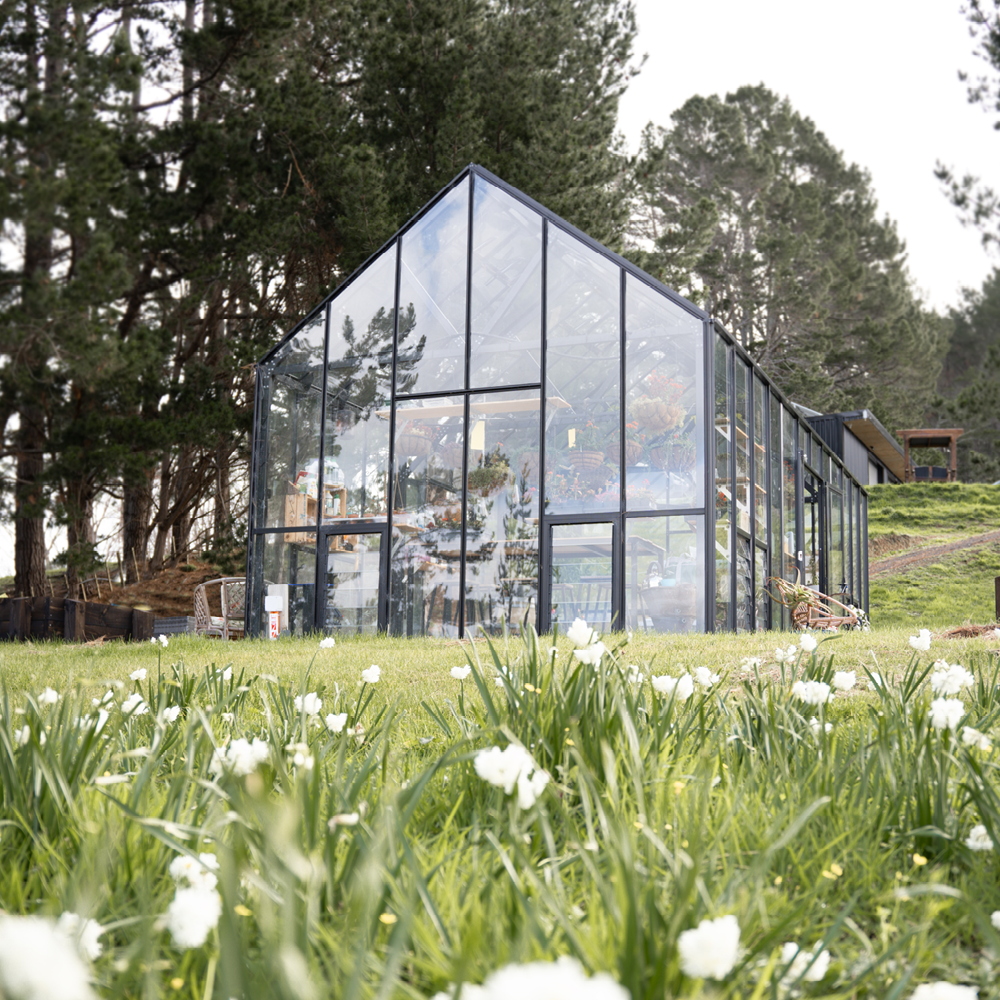 12x24ft (3.8x7.7m) Greenhouse