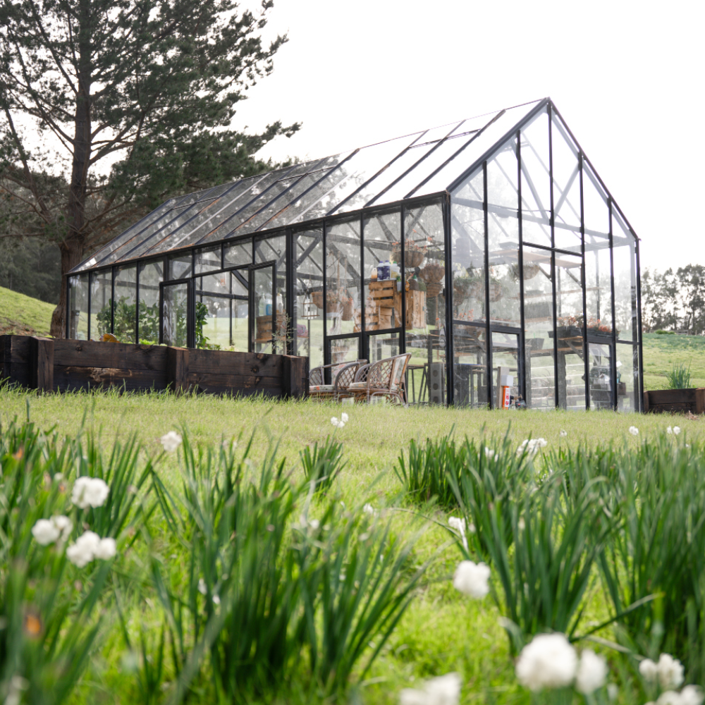 12x24ft (3.8x7.7m) Greenhouse