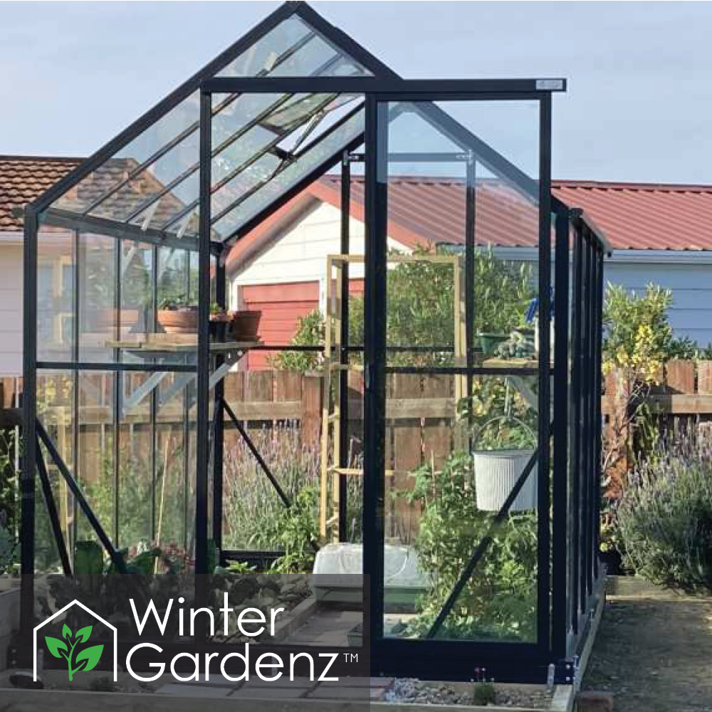 6x10 Glasshouse 4mm Toughened Glass