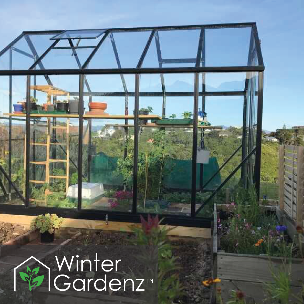 6x10 Glasshouse 4mm Toughened Glass