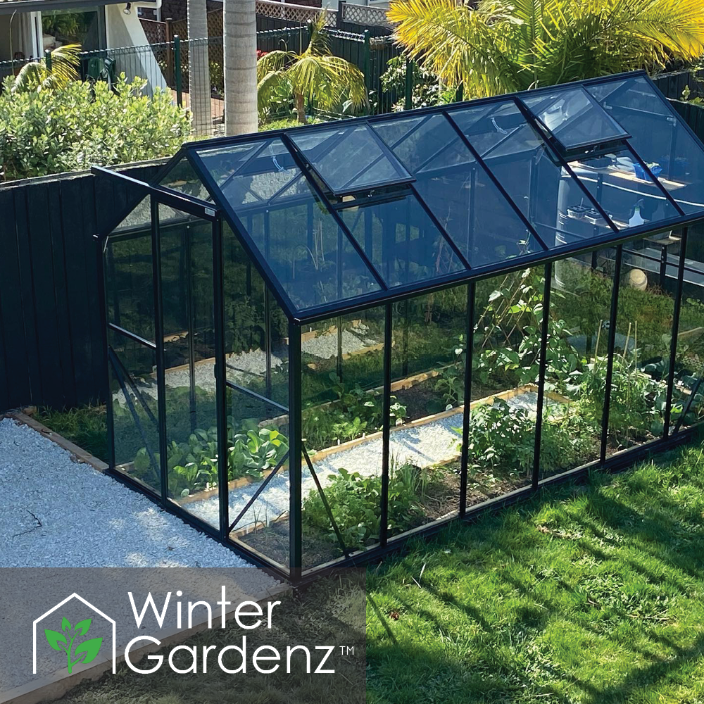 6x12 Glasshouse 4mm Toughened Glass