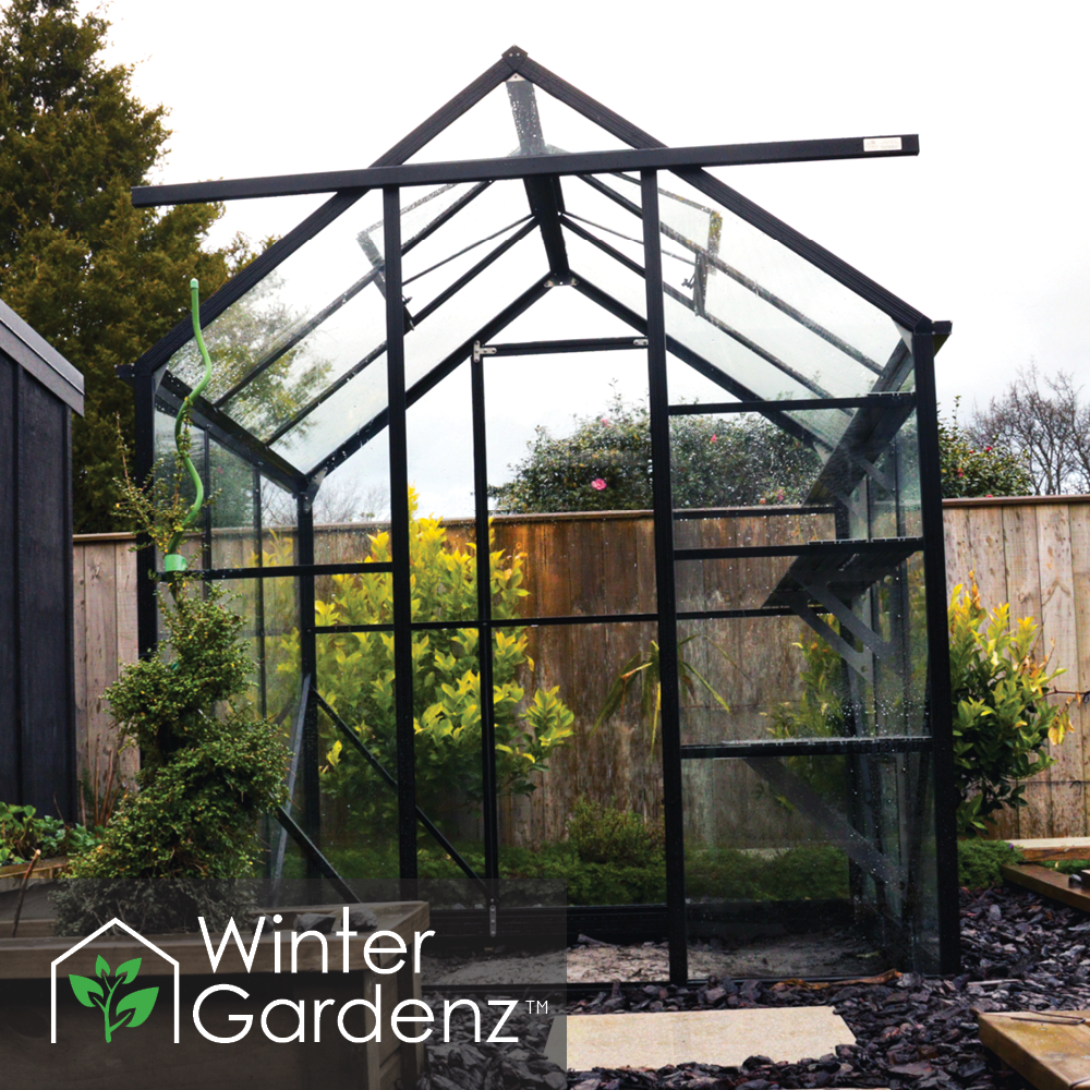 6x6 Glasshouse with 4mm Toughened Glass