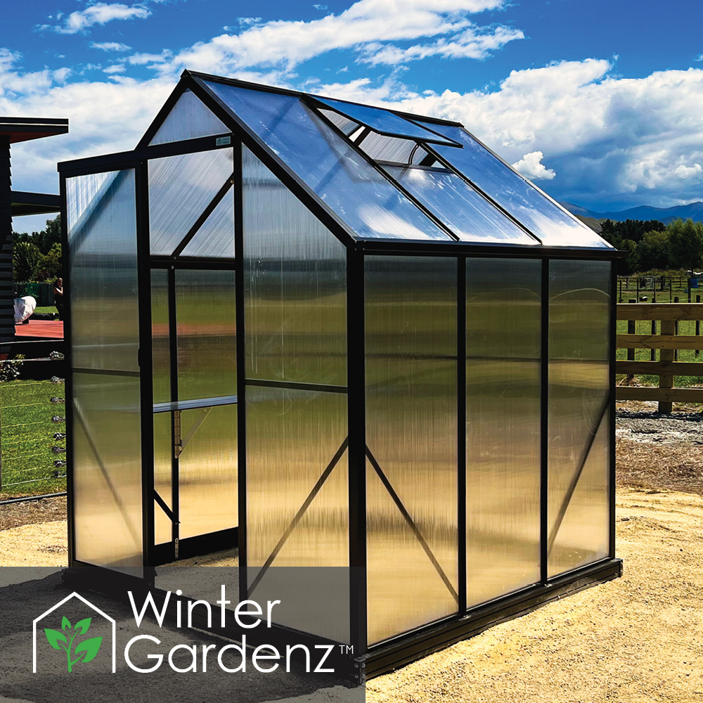 6x6 Greenhouse with 6mm Polycarbonate