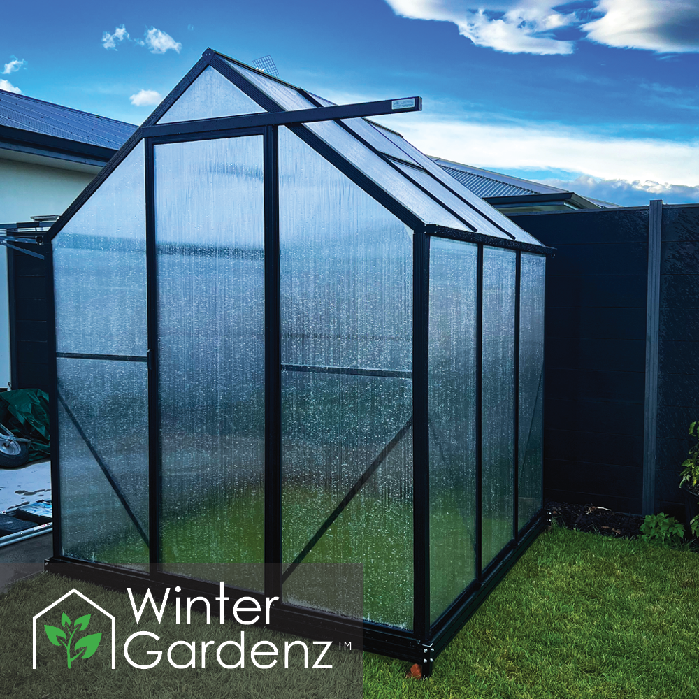 6x6 Greenhouse with 6mm Polycarbonate