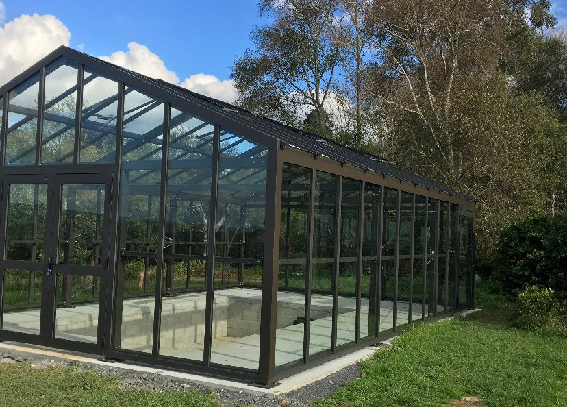 Puriri Hills | Vineyard