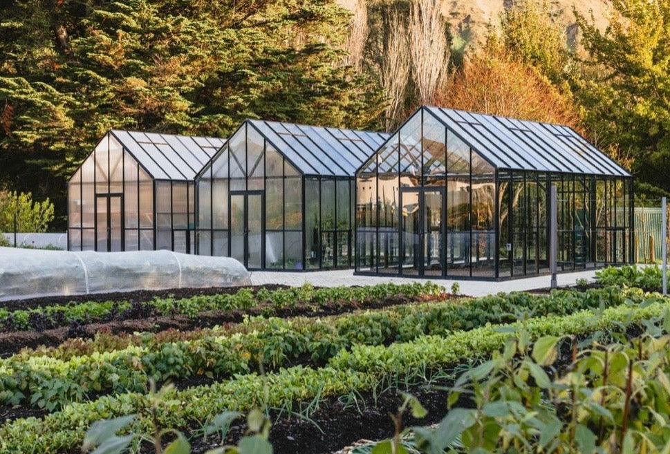 Craggy Range | 12x24ft | Hawke's Bay