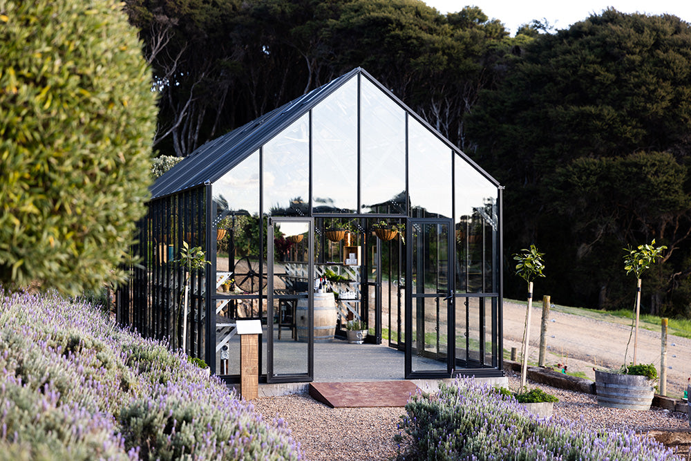 Mudbrick Restaurant & Winery | 12 × 40 ft Glasshouse | Kitest Architectural Series