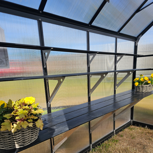 Black metal shelving inside greenhouse with wicker baskets of yellow flowers on bottom shelf