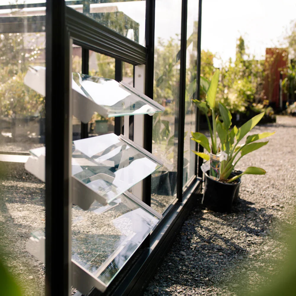 Glass louvre window open on a greenhouse with potted plant outside on gravel